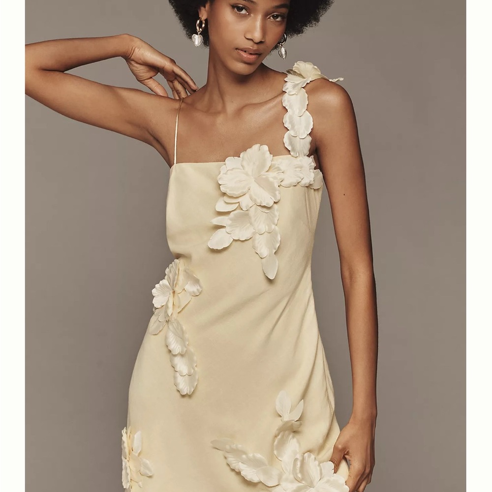 Anthropologie Hutch 3D Floral Appliqué Mini Dress light Yellow Romantic Resort